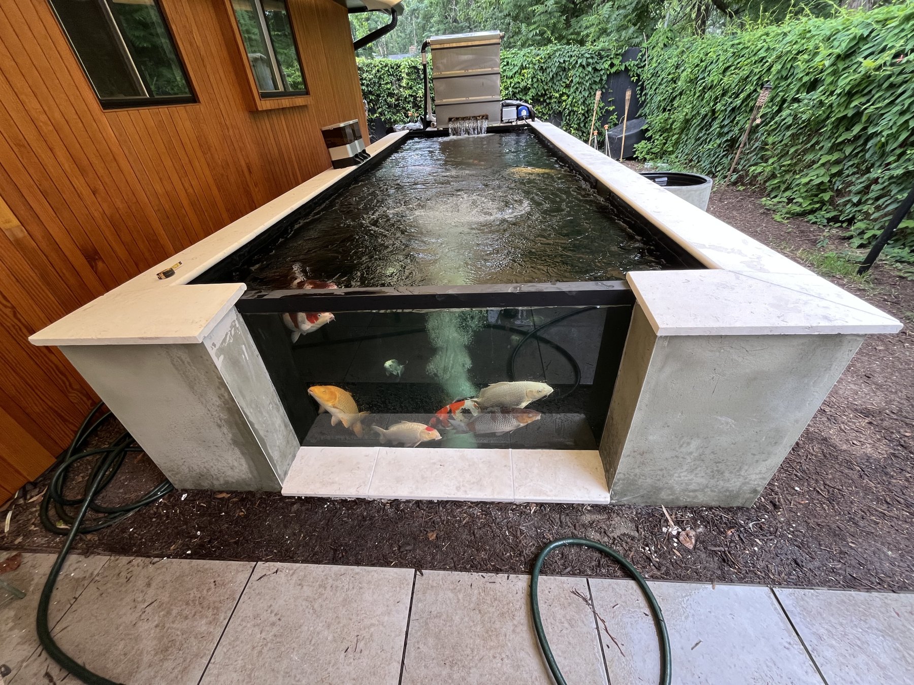 Custom raised koi pond beside a cedar-clad home, with a smooth concrete and tile surround and a glass viewing window showing koi underwater.