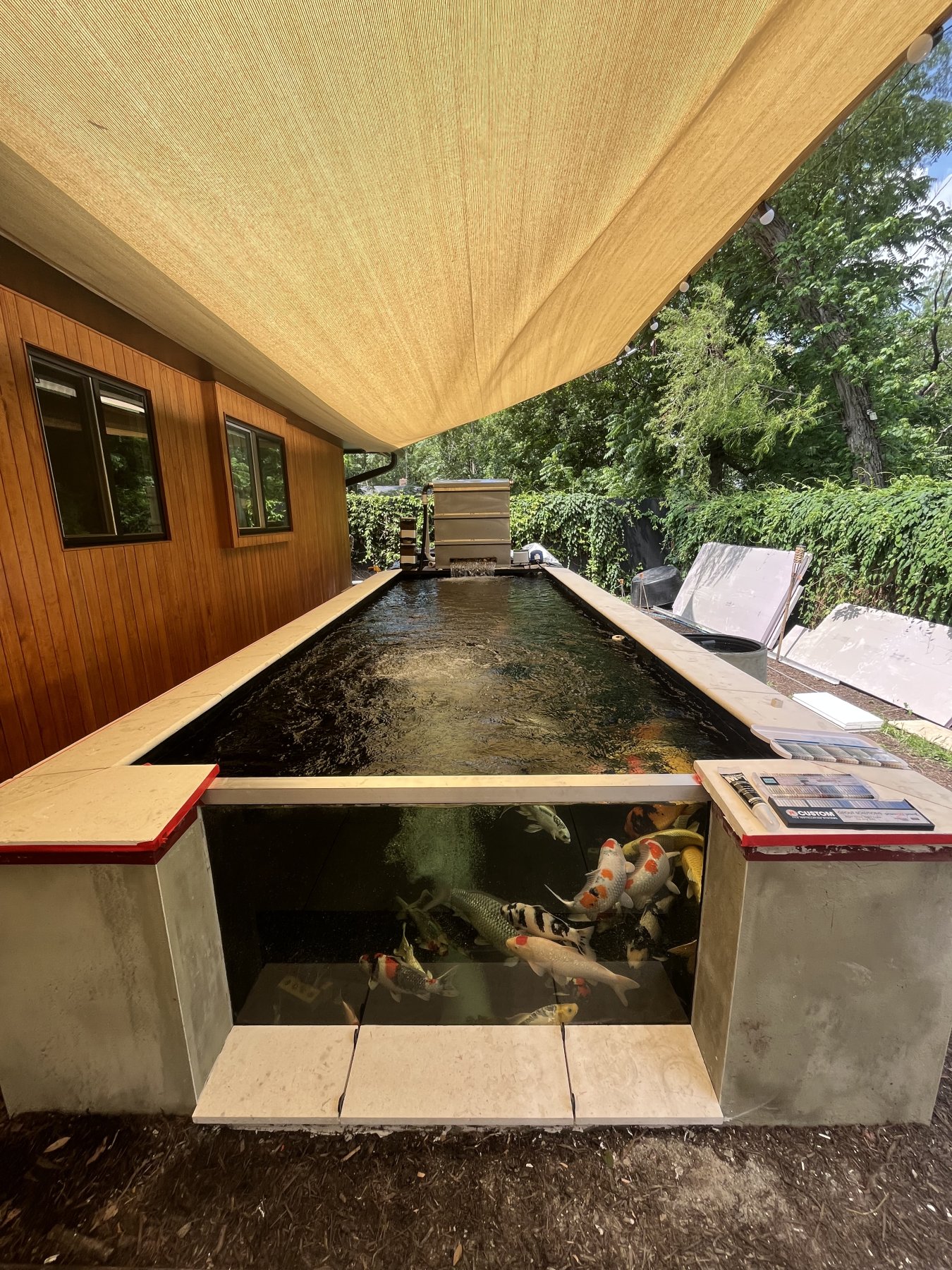 Long custom koi pond under a tan shade sail against a cedar wall, with a front glass viewing panel revealing koi below the waterline.
